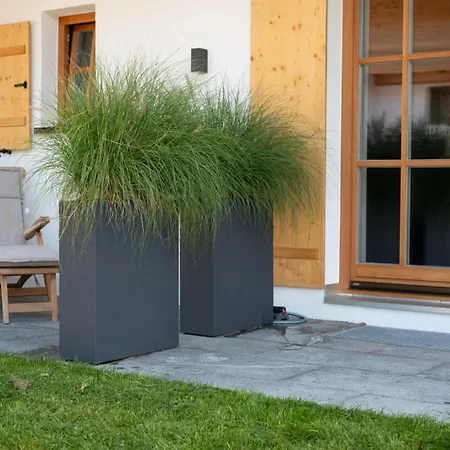 Viol * Reit im Winkl